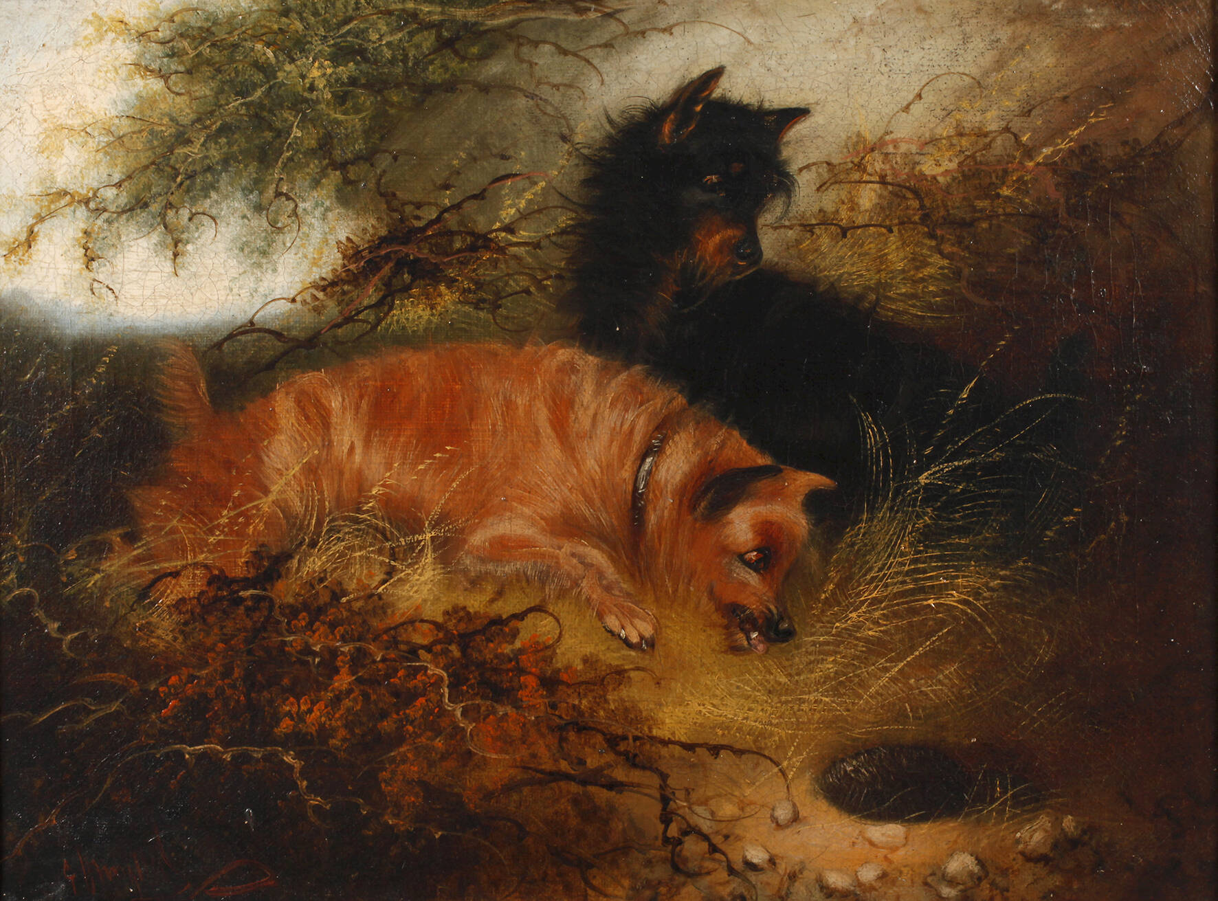 Hundebild "Der Schreck"