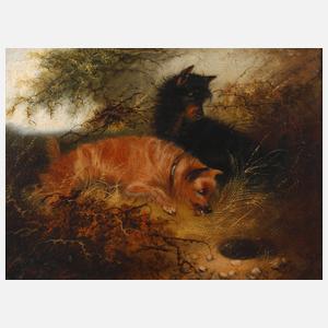 Hundebild "Der Schreck"