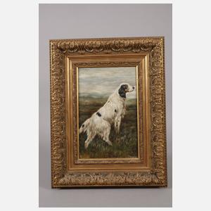 Jagdhund in der Heide