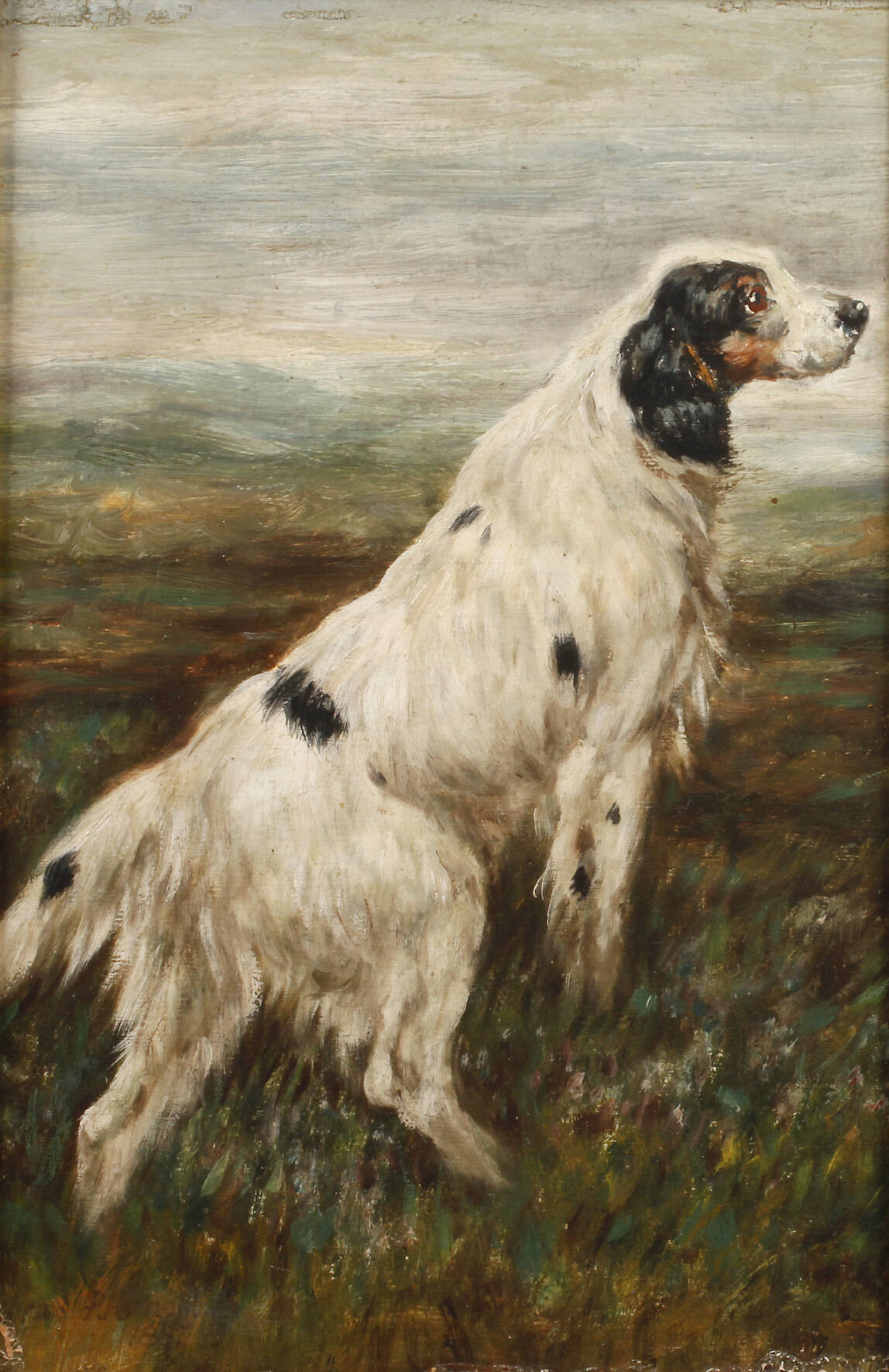 Jagdhund in der Heide