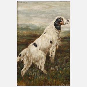Jagdhund in der Heide