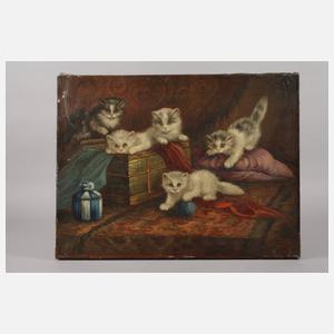 Katzenkinder