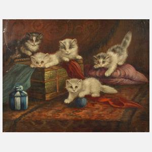 Katzenkinder