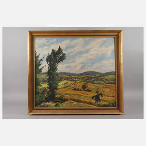 Sommerliche Mittelgebirgslandschaft mit Vogelscheuche