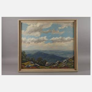 Sommerliche Mittelgebirgslandschaft