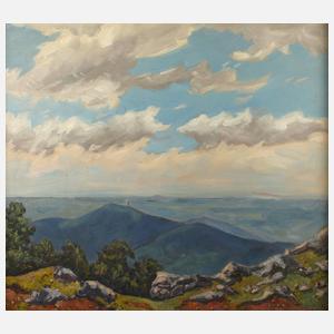 Sommerliche Mittelgebirgslandschaft