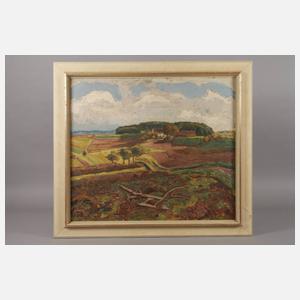 Frühlingshafte Ackerlandschaft