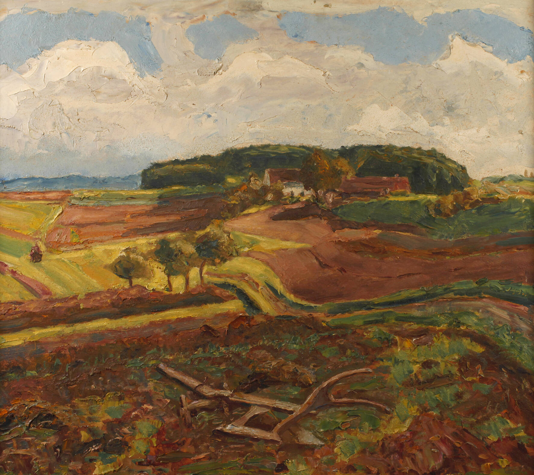 Frühlingshafte Ackerlandschaft