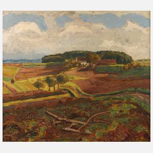 Frühlingshafte Ackerlandschaft