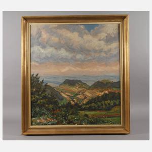 Sommerliche Mittelgebirgslandschaft im Abendlicht