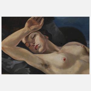 Sommerliche Mittelgebirgslandschaft im Abendlicht