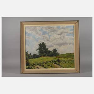 Sommerliche Baumgruppe