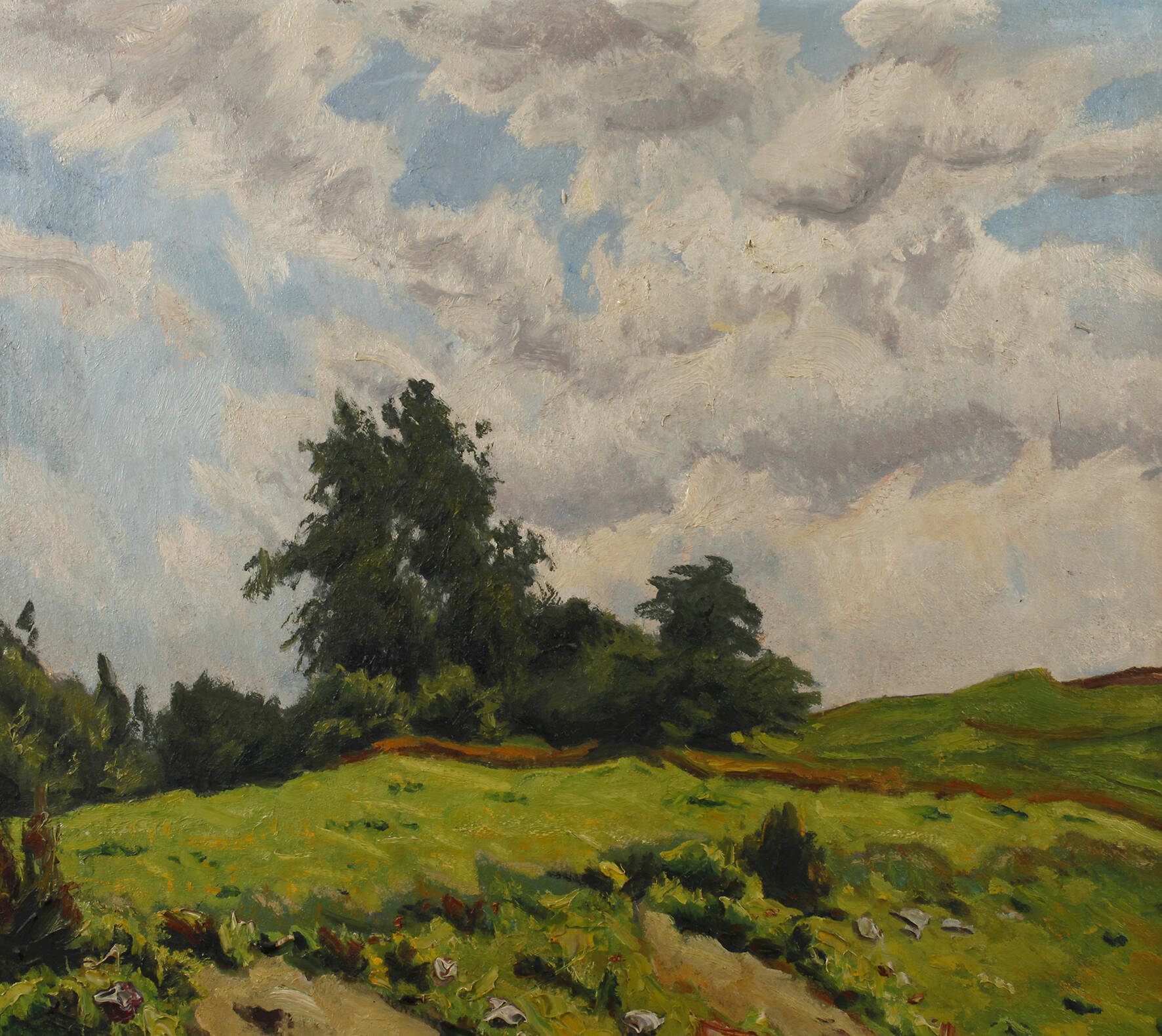 Sommerliche Baumgruppe