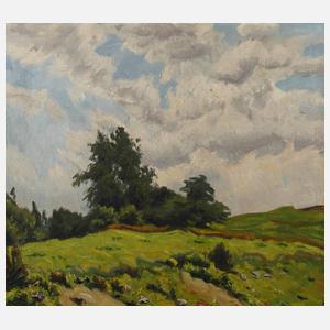 Sommerliche Baumgruppe