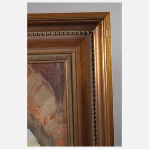 Slowakische Dorflandschaft