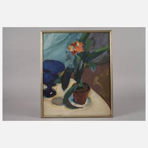 Stillleben mit Clivia