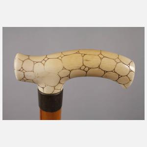 Spazierstock Elfenbein