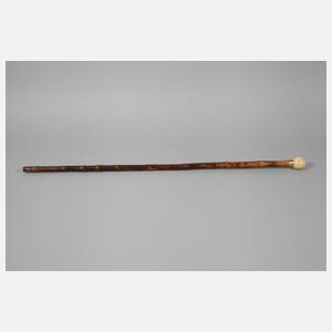 Spazierstock Elfenbein