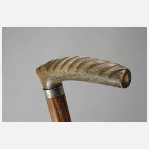 Spazierstock Horn