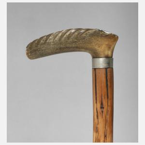 Spazierstock Horn