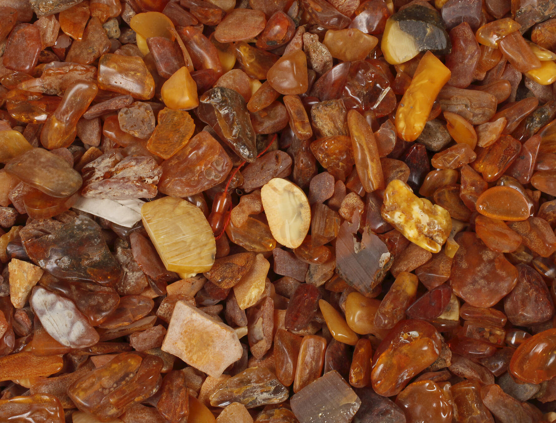 Große Sammlung Bernstein