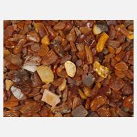 Große Sammlung Bernstein111