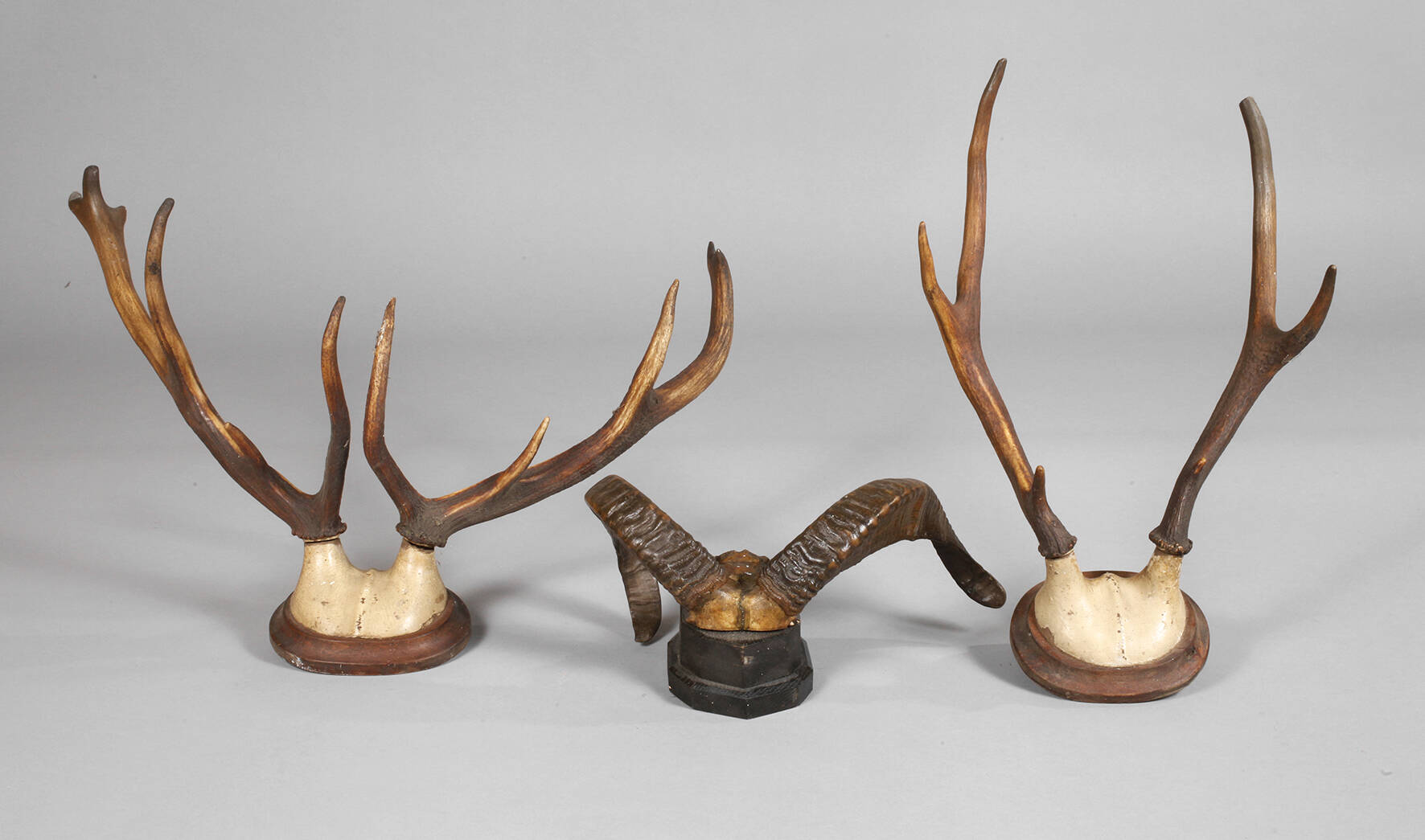 Drei Jagdtrophäen