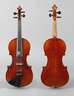 Violine im Etui