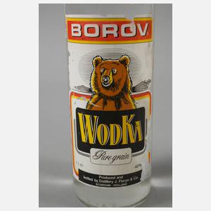 Zwei Flaschen Wodka