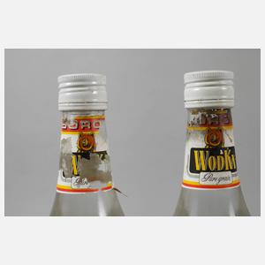 Zwei Flaschen Wodka