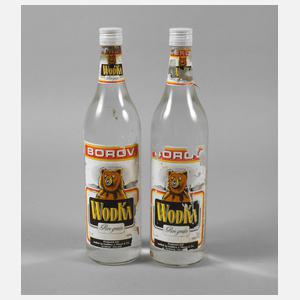 Zwei Flaschen Wodka
