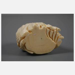 Große Netsuke