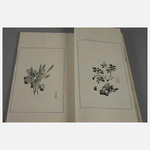 Shi Jianpu, Briefpapiersammlung der Zehnbambushalle