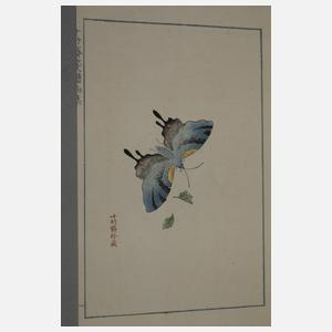 Shi Jianpu, Briefpapiersammlung der Zehnbambushalle