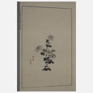 Shi Jianpu, Briefpapiersammlung der Zehnbambushalle