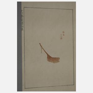 Shi Jianpu, Briefpapiersammlung der Zehnbambushalle