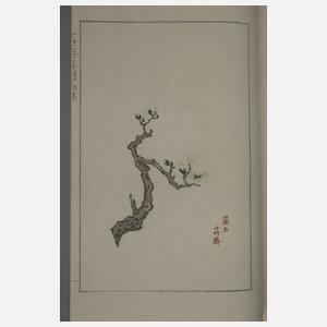 Shi Jianpu, Briefpapiersammlung der Zehnbambushalle