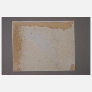 Ornithologische Zeichnung