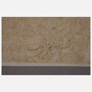 Ornithologische Zeichnung