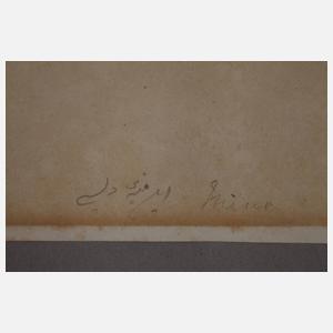 Ornithologische Zeichnung