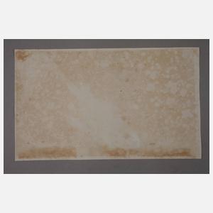 Ornithologische Zeichnung