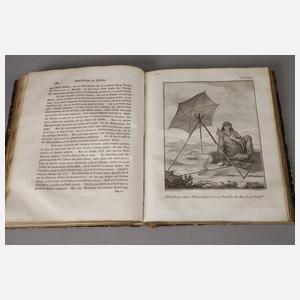 Carsten Niebuhrs Reisebeschreibung Bd. 1 und 2