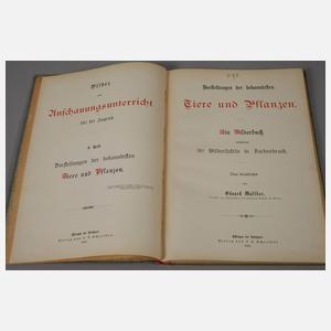 Bilder zum Anschauungsunterricht II