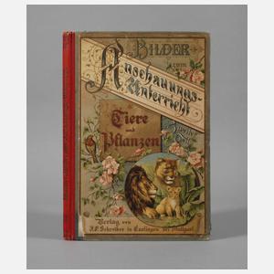 Bilder zum Anschauungsunterricht II