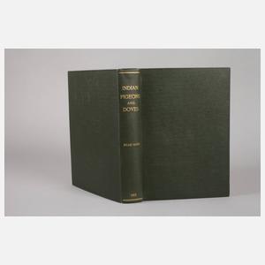 Indian Pigeons and Doves