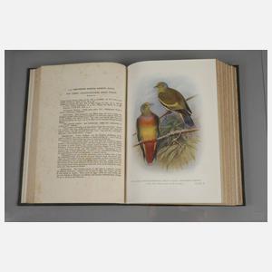 Indian Pigeons and Doves