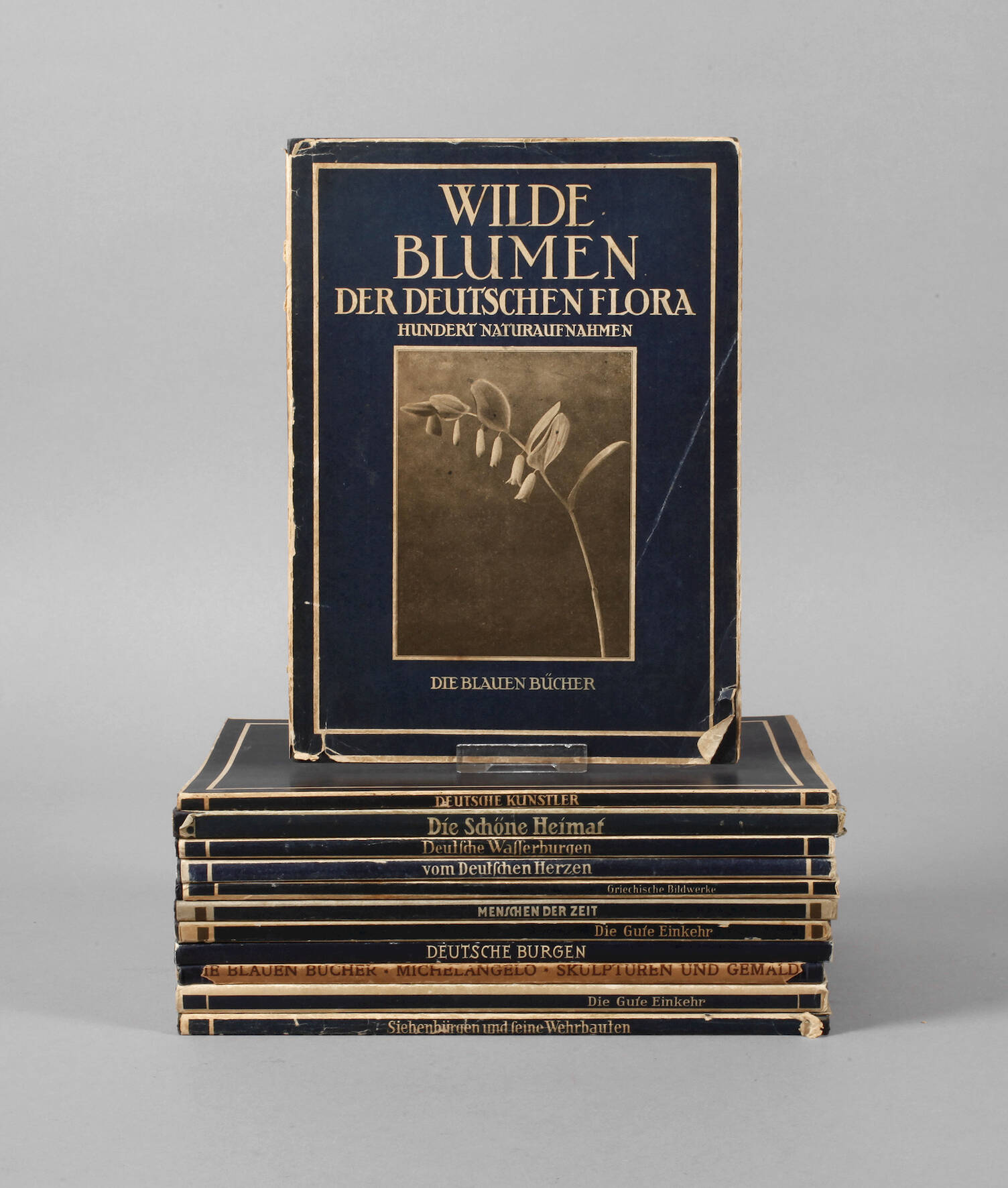 Konvolut "Die blauen Bücher"