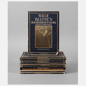 Konvolut "Die blauen Bücher"