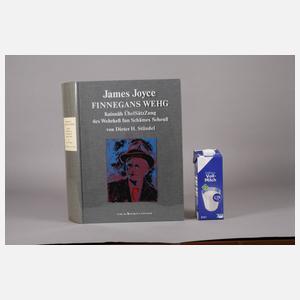 James Joyce, Finnegans Wehg