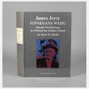 James Joyce, Finnegans Wehg